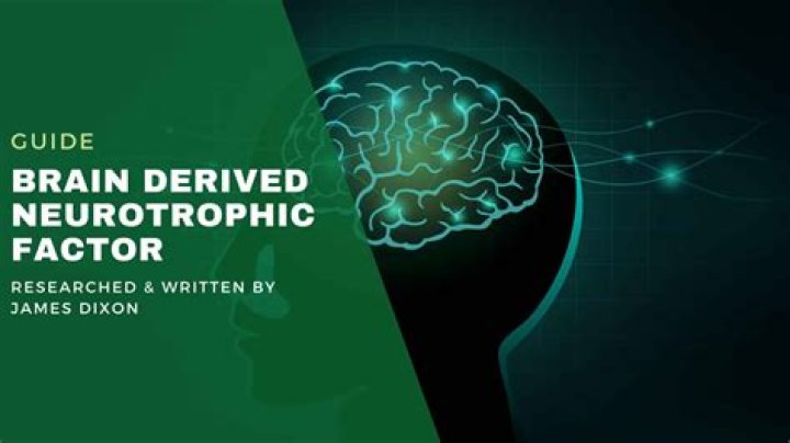 What increases brain derived neurotrophic factor?
