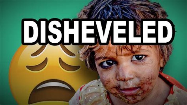 What is a dishevelment person?