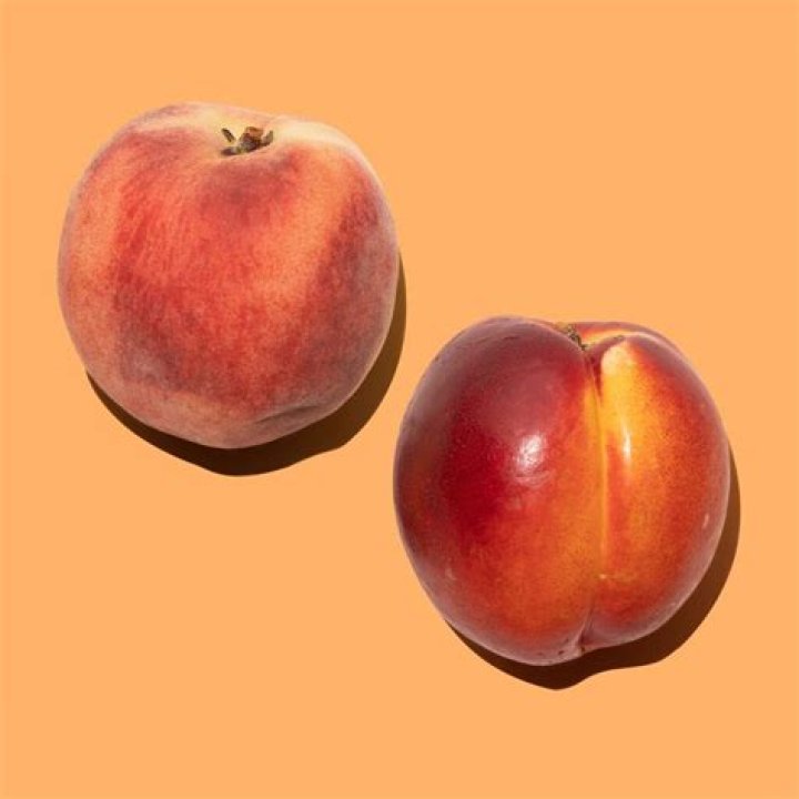 What is a nectarine a cross between?