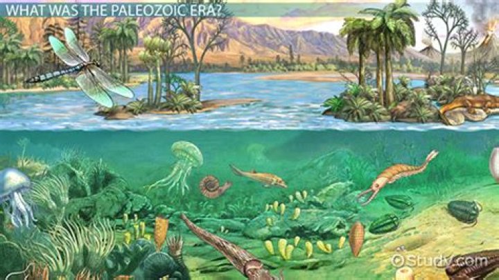 What is a paleozoic?