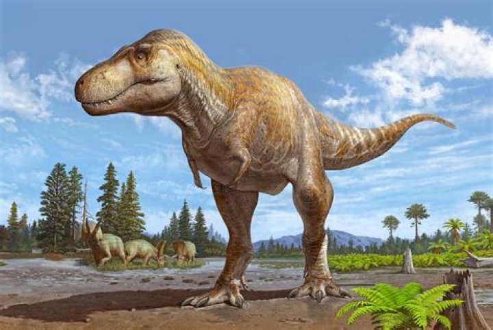 What is a tyrannosaurus?