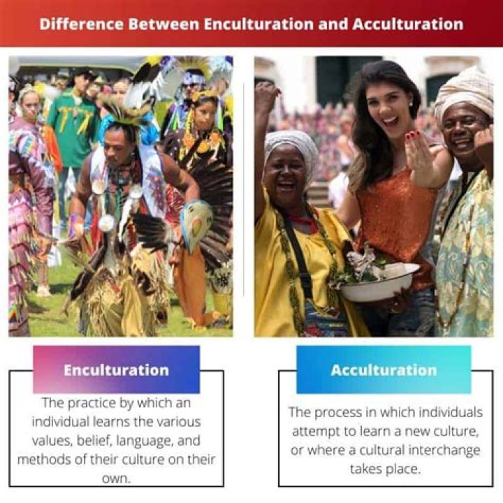 What is acculturation and enculturation?