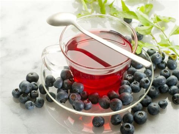 What is bilberry tea?