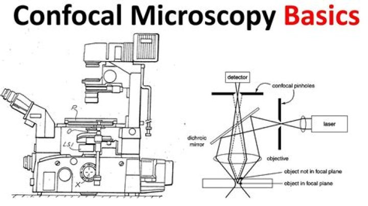 What is confocal microscopy used for?