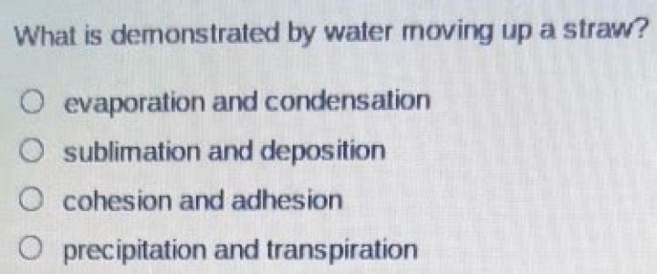 What is demonstrated by water moving up a straw?