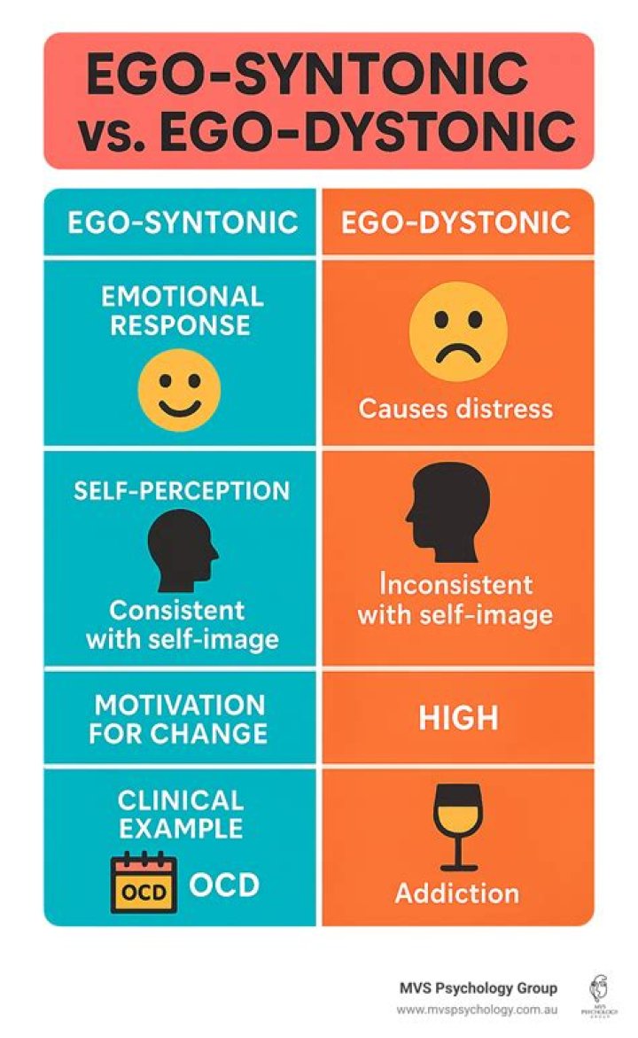 What is ego syntonic aggression?