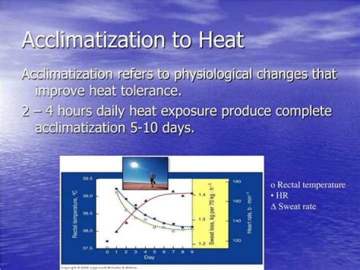 What is heat acclimatization?