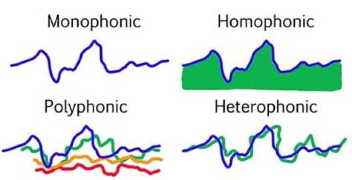What is homophony and polyphony?