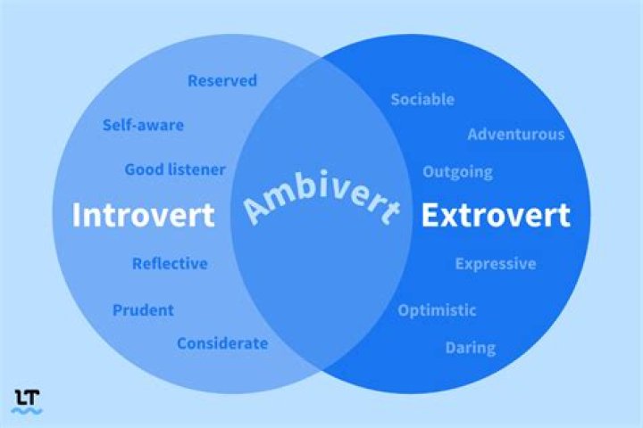 What is introvert and extrovert?