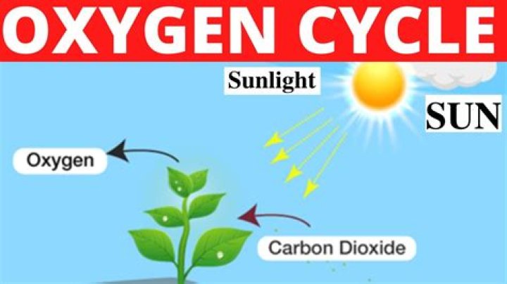 What is meant by abiotically?