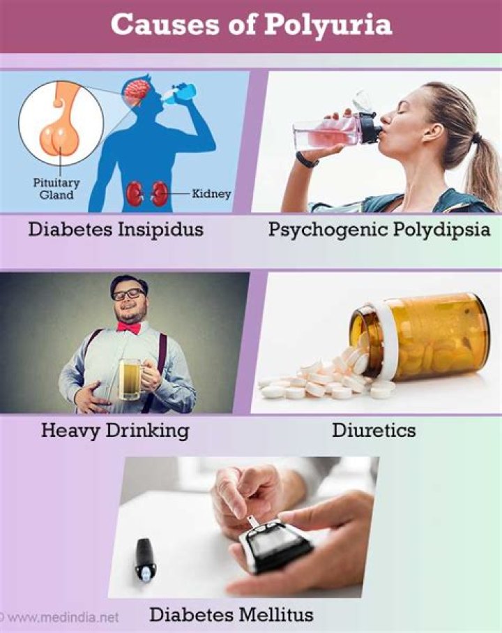 What is polyuria a symptom of?