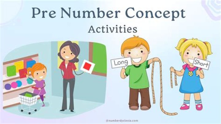 What is pre number concept?