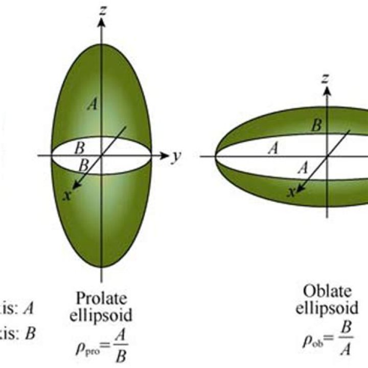 What is prolate ellipsoidal?