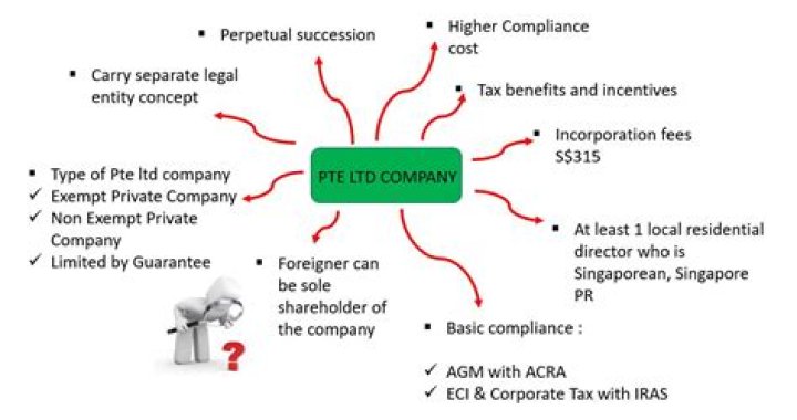 What is pte ltd?