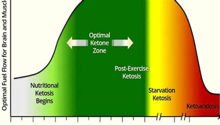 What is starvation ketosis?