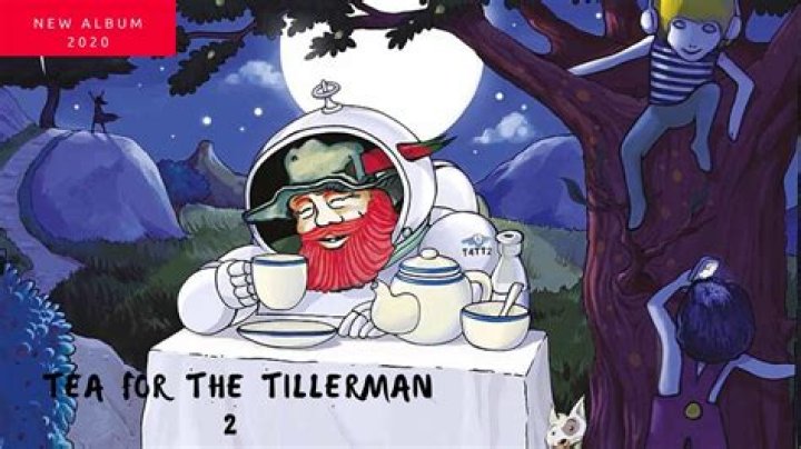 What is tea for the tillerman 2?