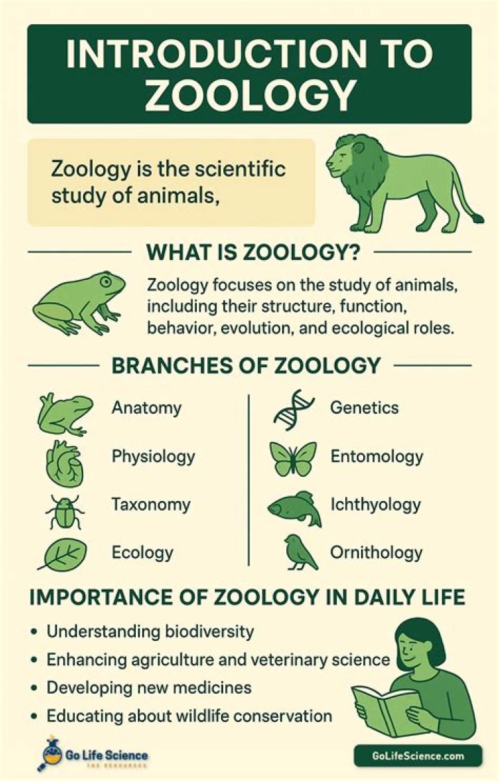 What is the importance of zoology?