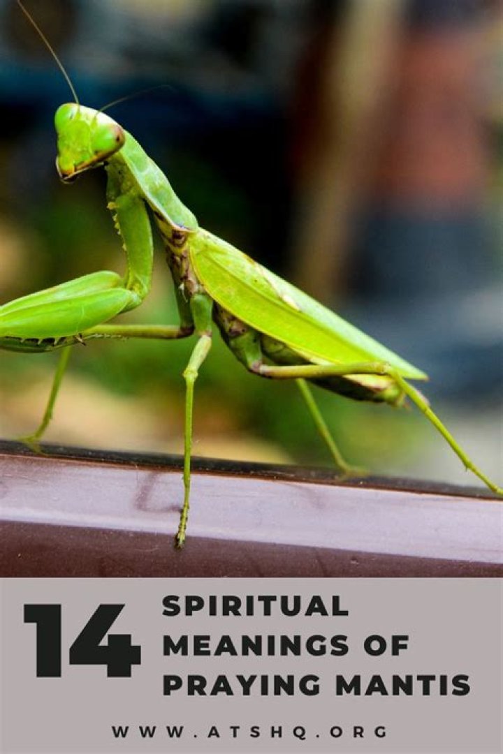 What is the meaning of anathematise?