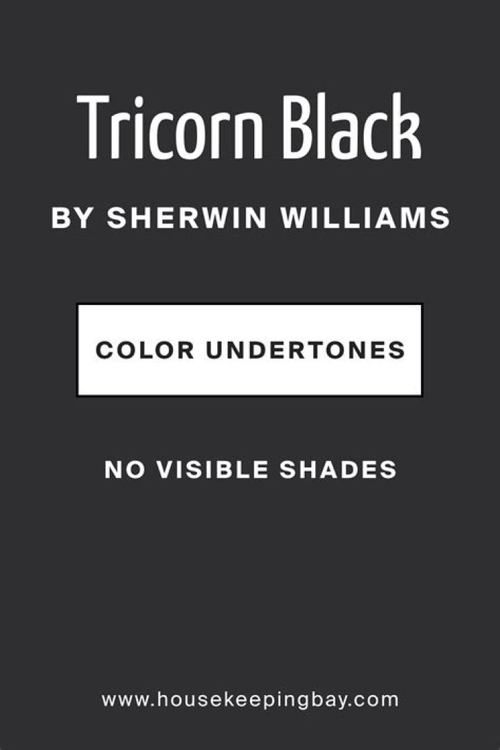 What is tricorn black?