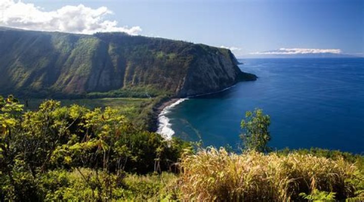 What island is honokaa on?