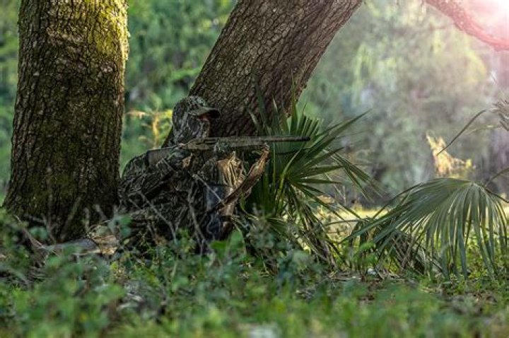 What mossy oak means?