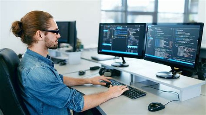 What software engineers do?
