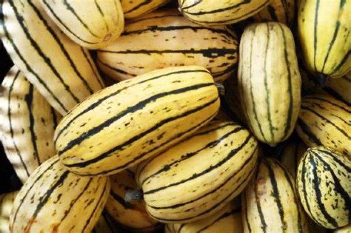 What squash is green striped?