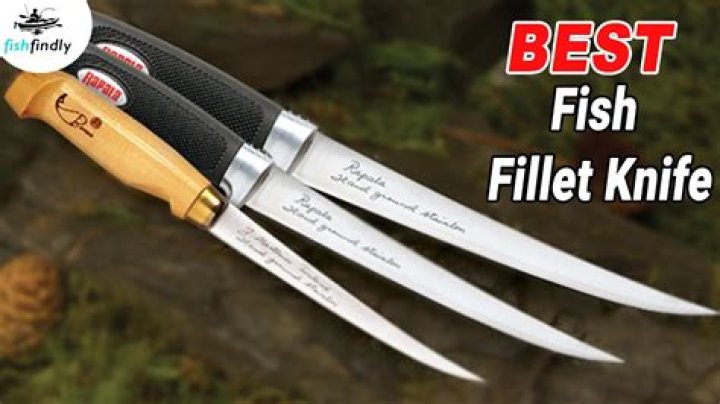 Whats a good fillet knife?