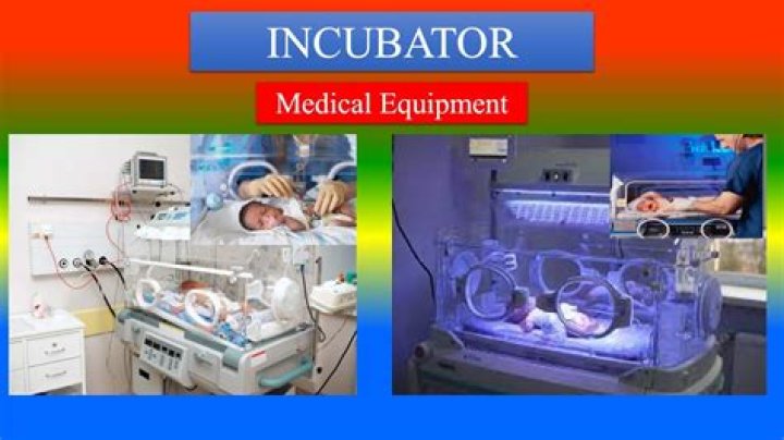 Whats an incubator used for?