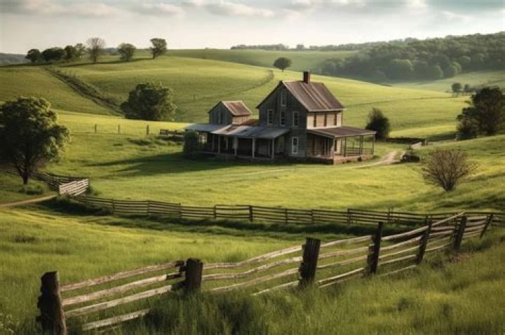 Whats the definition of homesteader?
