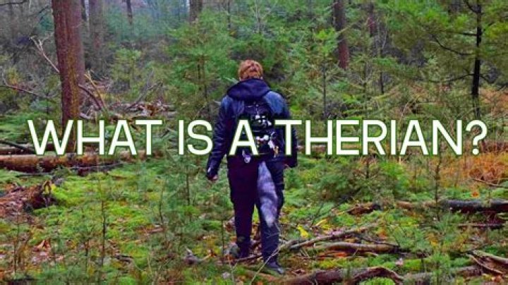 Whats the definition of therian?