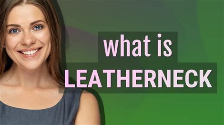 Whats the meaning of leatherneck?