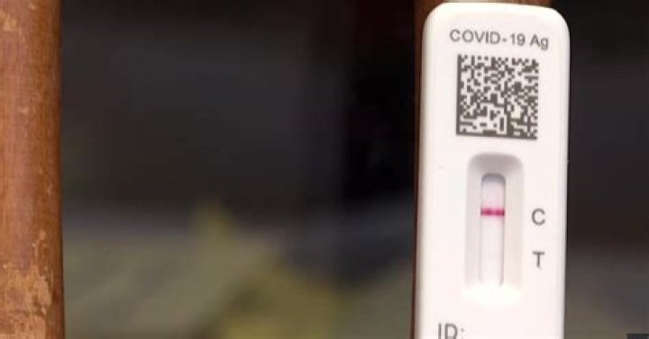 Whats the rate of false negative covid tests?