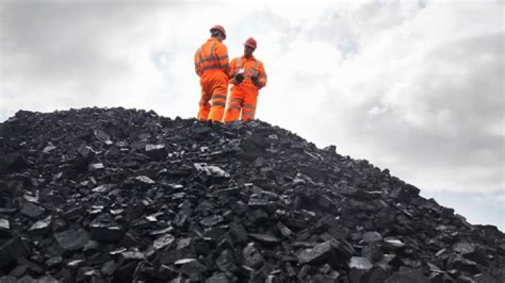When did humans start using coal?