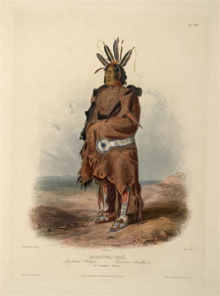 When did the arikara tribe began?