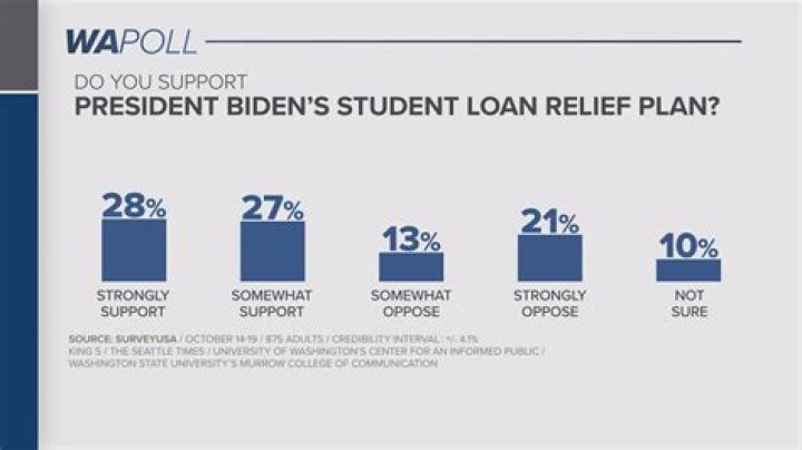 When did the government start giving student loans?
