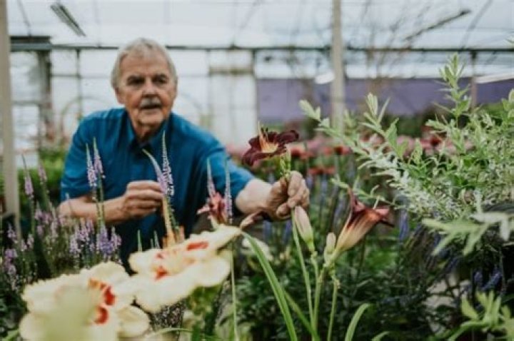 When is brian minter on cbc radio?