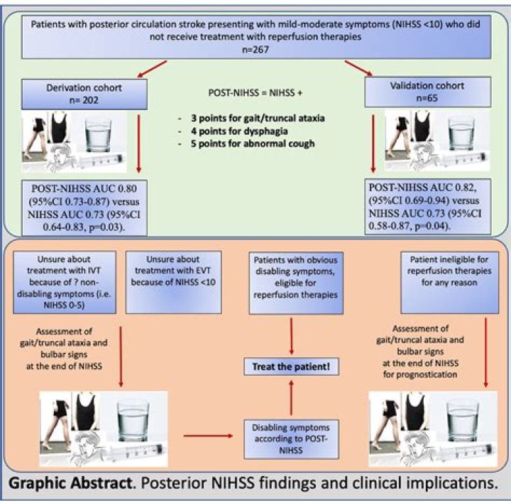 When to use prognostic chart?