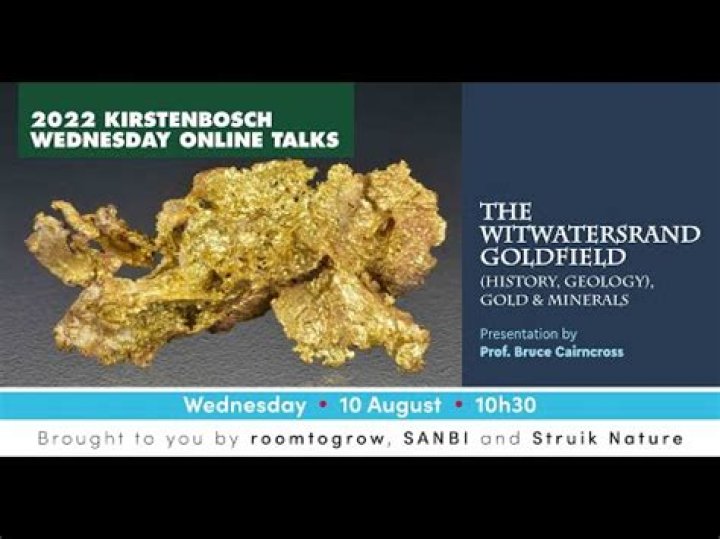 When was gold discovered in witwatersrand?