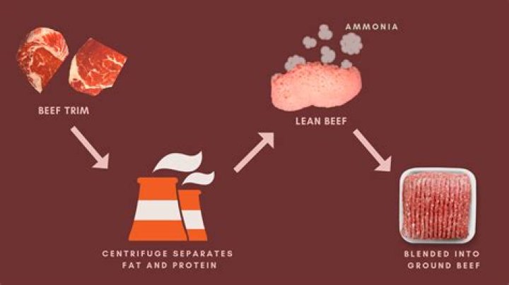 When was lean finely textured beef invented?