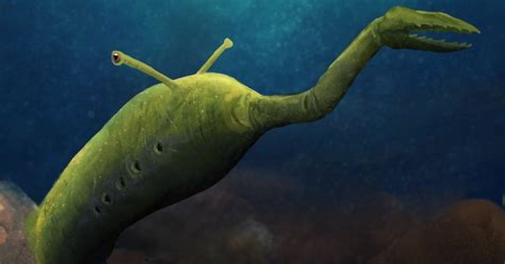 When was strangeness discovered?