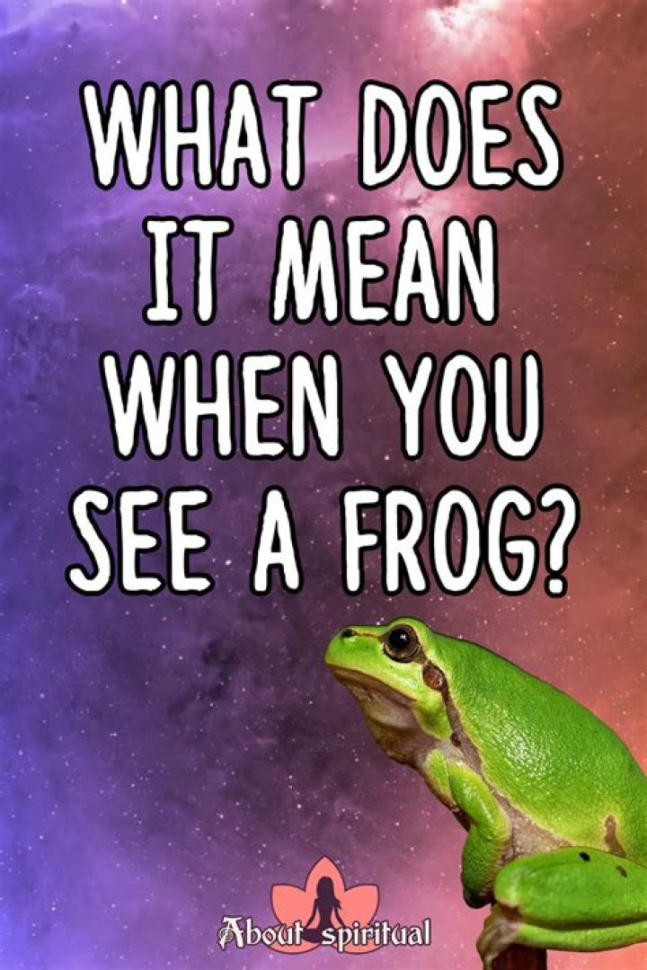 When you see a frog what does that mean?