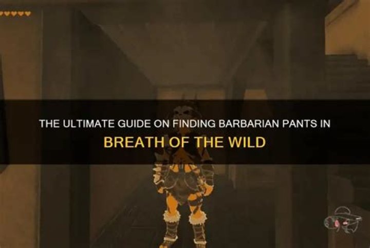 Where are the barbarian pants botw?