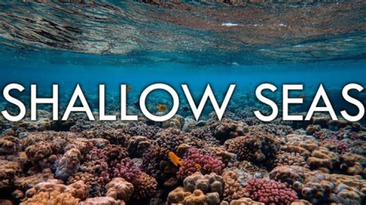 Where are the shallow seas?