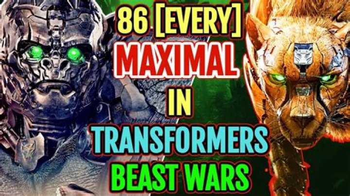 Where did the maximals come from?