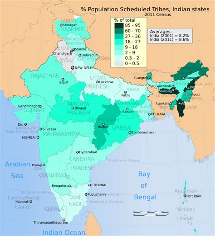 Where do adivasis live in india?