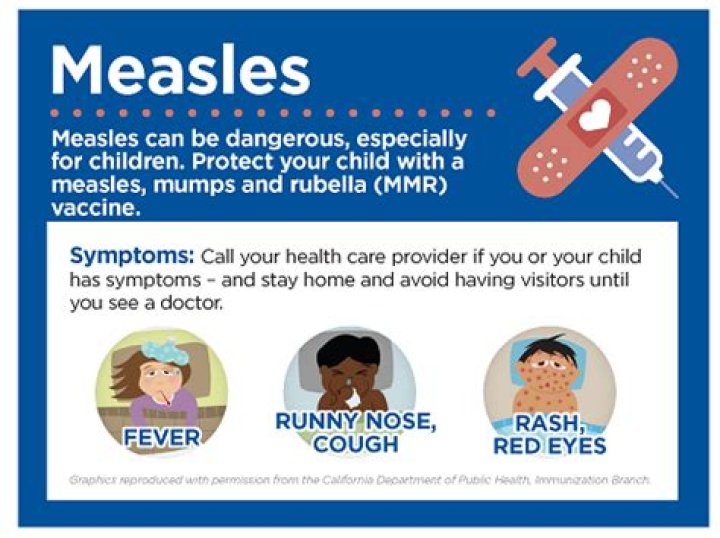 Where do measles come from?