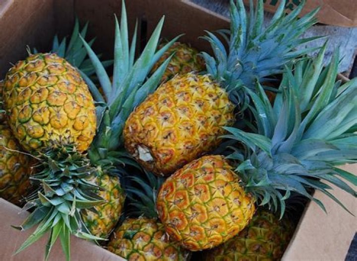 Where do pink pineapples come from?