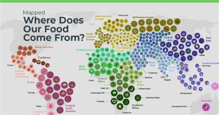 Where does the spiciest food come from?