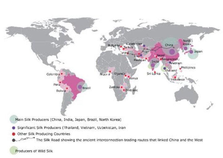Where does the word silk come from?